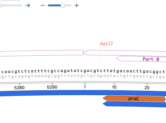 Screen Shot 2022-08-16 at 3.10.31 PM